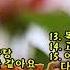 김연숙 통기타 감성 가요 16곡