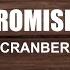 THE CRANBERRIES PROMISES