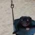 Pug On Swing