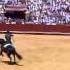 Corrida At Seville On The 8th Of May 2011 Horse Dance