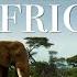 Animals Of Africa 4K Scenic Relaxation Film With Calming Music