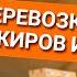 Онлайн уроки по теории вождения Перевозка пассажиров и груза