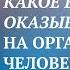 Валерий Синельников Влияние стресса на здоровье человека Стресс и здоровье человека