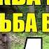 ДВА БРАТА В ТАЙГЕ ГДЕ РАСТЕТ КЛЮКВА НА БОЛОТАХ БРАТ НА БРАТА СУДЬБА ЧЕЛОВЕКА 1