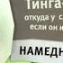 Карусель Зелёный анонс Тинга Тинга откуда у слона хобот если он не ел суши 13 2013 01 2014