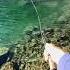 Fly Fishing At 12 000 Ft In An Alpine Lake