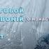 Володимир Войцеховський ВСІ ПІСНІ Хітова збірка танцювальних пісень 2022