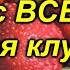 Всего одна подкормка и ягода на клубнике будет КРУПНОЙ Копеечная подкормка клубники