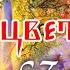 Аленький цветочек Полная версия Аудиосказка Аксаков