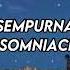 Insomniacks Sempurna LIRIK