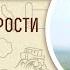 Книга Премудрости Соломона Глава 15 Андрей Десницкий