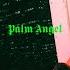 Жак Энтони Palm Angel Slow Reverb