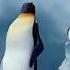 Pericole Vs Provocări Secvenţă Din Desenul Animat Happy Feet Two