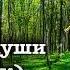 Л Улицкая Два рассказа на А О теле души сборник читает А Назаров