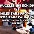 Knuckles Vs Tails For Tails Fanboys Shorts