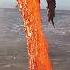 Amazing Up Close Footage Of Lava Entering The Ocean