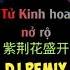 紫荆花盛开 李荣浩 梁詠琪 DJ抖音版 2023Mix Tử Kinh Hoa Nở Rộ Lý Vinh Hạo Lương Vịnh Kỳ Remix Tiktok 2023