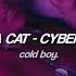 Doja Cat Cyber Sex Lyrics