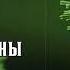 Пчхи хологическая война Мы Хогбены 1949 Генри Каттнер юмор фантастика аудиокнига рассказ