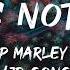 Skip Marley That S Not True Lyrics Ft Damian Jr Gong Marley Lyrics