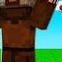 SONSUZA DEK KAYBOLDUM Minecraft