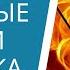 Огненные знаки зодиака Овен Лев Стрелец знаки Зодиака стихии Огня Что общего и в чем различия
