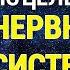 Настрой Сытина для Нервной системы Здоровье и Долголетие Версия без музыки