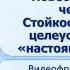 Тема 31 Б Н Полевой Повесть о настоящем человеке Стойкость мужество и целеустремлённость