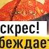 Главная схватка за возможность жить отец Андрей Ткачёв