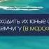 Прекрасное чтение Корана Мухаммад аль Люхайдан Сура 52 Ат Тур Гора Аяты 1 49