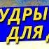 Ёжикины Сказки 4 Собрание Добрых и Мудрых Детских Сказок на Ночь Nikosho и Сергей Козлов