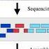 Fundamentals Of Genome Assembly