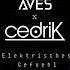 Juli Elektrisches Gefühl CedriK X AVES Techno Remix