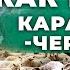 Как сделать Бизнес на Баранине Путешествие в Карачаево Черкесию Андрей Даниленко