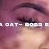 Doja Cat Boss Bitch S L O W E D R E V E R B