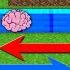 What If YOU SWAP THE BRAINS OF ENDERMAN AND WITHER In Minecraft BRAIN EXCHANGE