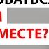 Адаптация на новом рабочем месте Как влиться в коллектив и пройти испытательный срок