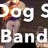 Lost Dog Street Band Terrible And True Live Laurel Cove Amphitheater