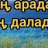 Міндетті түрде көр адалдық туралы Казакша макал мателдер