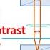 DIC Microscopy Differential Interference Contrast DIC Vs Phase Contrast