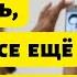 Почему не раскрыто убийство самого противоречивого режиссера XX века Пьер Паоло Пазолини