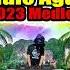 Nonstop Freddie Aguilar Reggae Remix 2023 Medley