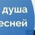 Наталья Лупан Истомилась душа одинокою песней