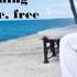 FREE FREE FREE PITBULL Lyrics Video Ft THERON THERON