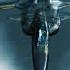 Demon Of The Round Table With Dialogue Gault Team Ace Combat Zero