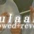 Gulaabo Slowed Reverb Vishal Dadlani Anusha Mani