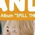 CANDY 사탕 SEVENTEEN Vocal Unit 12th Mini Album SPILL THE FEELS Hangul Rom Lyrics