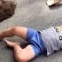 Dog Reacts To Toddler Saying NO To Going Home