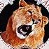 Metro Goldwyn Mayer Logo 1957 Remastered Stereo