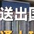 为什么国人一有钱就要送孩子出国 真相让国内普通人破防